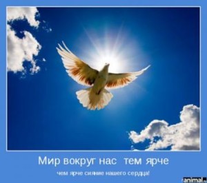 siyanie_serdca