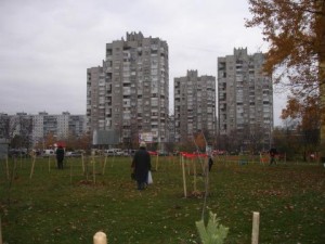 dsc03052