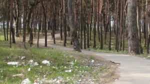 DSC00385