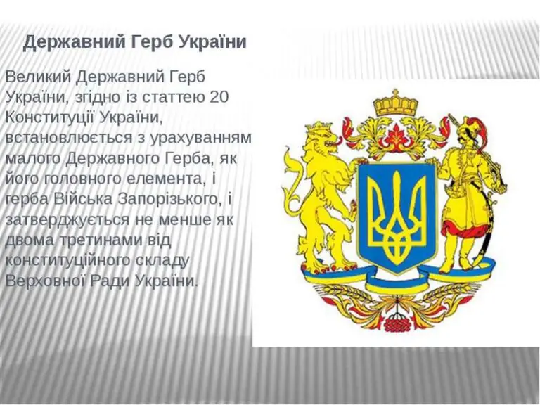 Хочеш жити за конституційними правами – вимагай виконання 20 ст. Основного Закону України