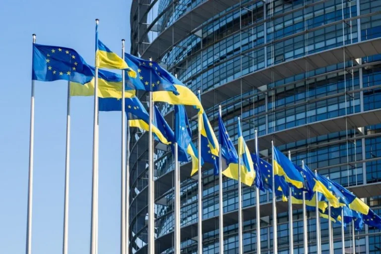 Звіт викривача до Дня Незалежності: як змусити державні органи працювати за законом та захистити землю громади